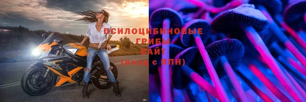 прущая мука Белокуриха