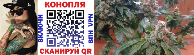Бошки Шишки VHQ  как найти   Михайловка 